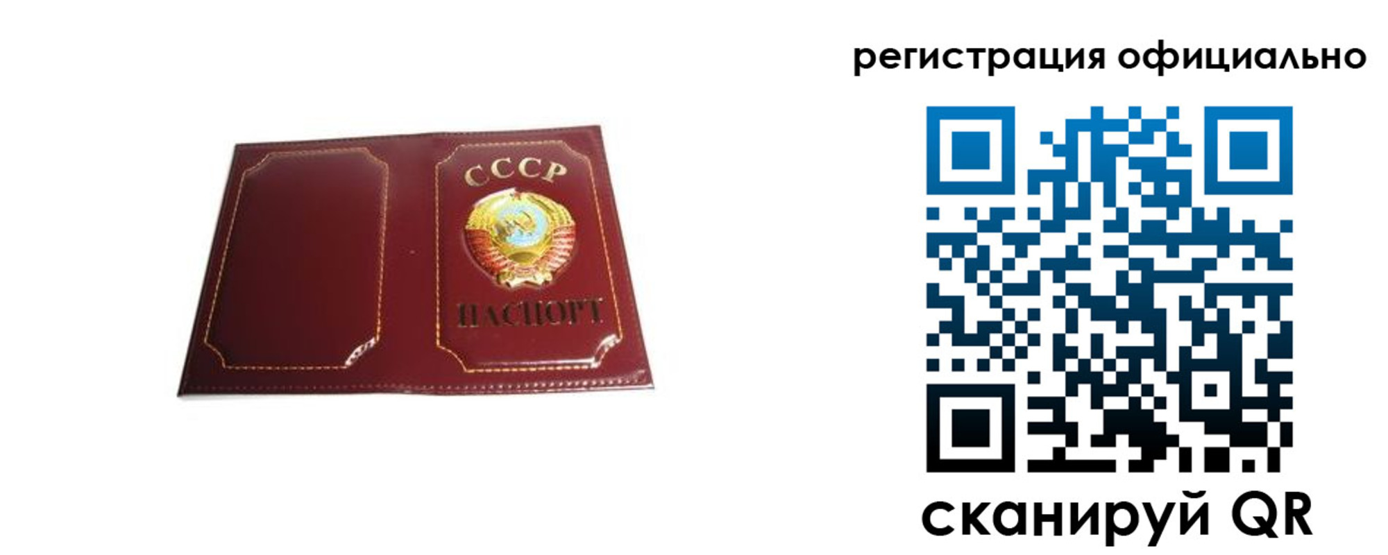 прописка в Курске